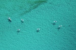 Ocean Cay Marine Reserve