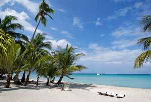 Respecting the Places We Visit: MSC Protectours