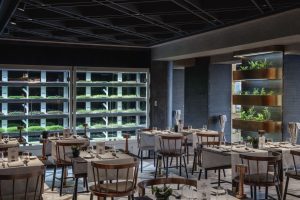 Chef's Garden Kitchen