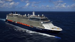 Celebrity Reflection