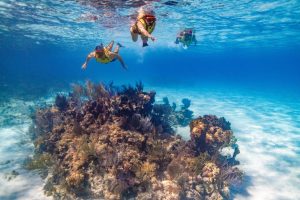 Half Moon Cay