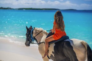 Shore Excursions