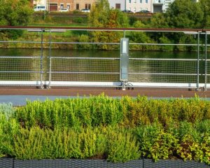 Herb Garden
