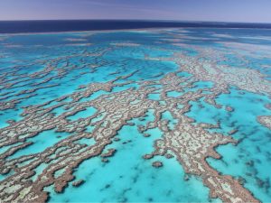 Cairns: Tour & Hotel Stay