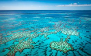 Great Barrier Reef