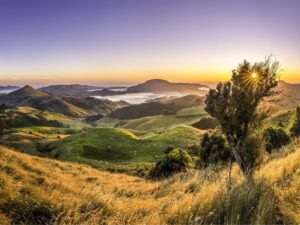 Dunedin