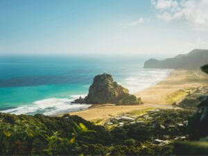 Auckland: Fly Home