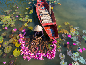 Hanoi: Hotel Stay