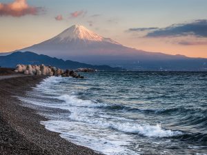 Shimizu