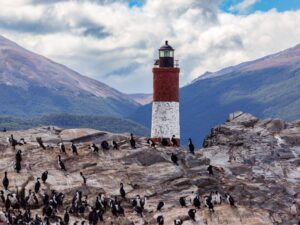 Beagle Channel Fjords: Scenic Cruising