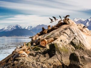 Ushuaia