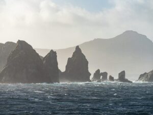 Cape Horn: Scenic Cruising