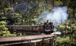 Puffing Billy Train