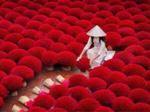 Hanoi: Fly Home