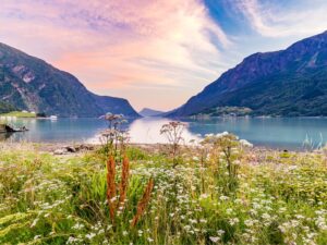 Skjolden - Sognefjord