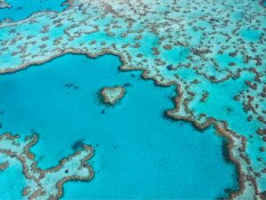 Cairns: Disembark Ship & Hotel Stay