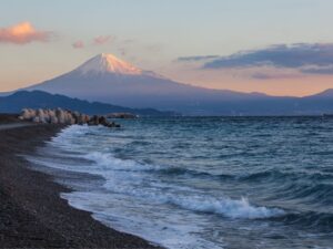 Shimizu