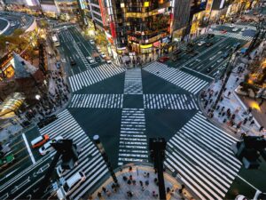 Tokyo: Disembark Ship & Fly Home