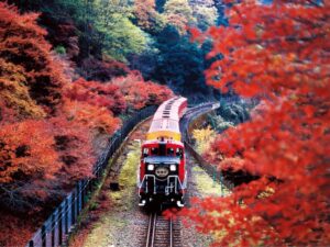 Kyoto: Tour & Hotel Stay