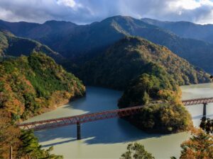 Shizuoka: Tour & Hotel Stay