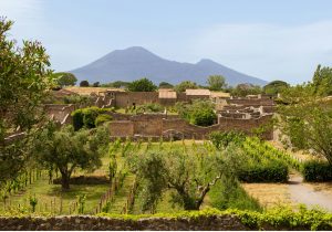 Pompeii & Vesuvius