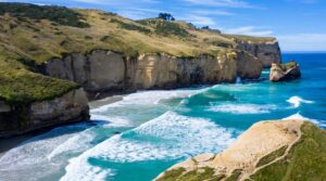 Dunedin