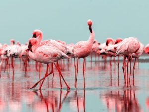 Walvis Bay: Overnight in Port