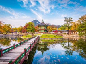 Seoul: Fly Home
