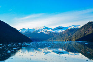 Endicott Arm - Dawes Glacier: Scenic Cruising