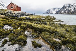 Bodø - Stamsund