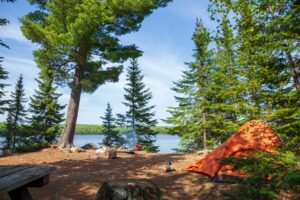 You Won’t Believe This ‘Perfect’ Campsite is Just an Hour from the City – And It’s Only $25!
