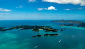 Discover the Bay of Islands