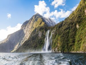 Fiordland National Park: Scenic Cruising