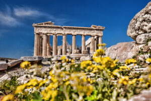 Athens: Disembark Ship & Fly Home