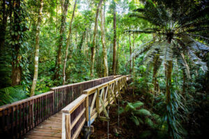 Cairns