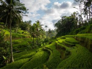 Bali